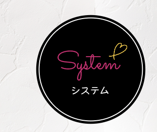 sp_half_bnr_system